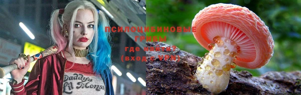 дистиллят марихуана Новозыбков