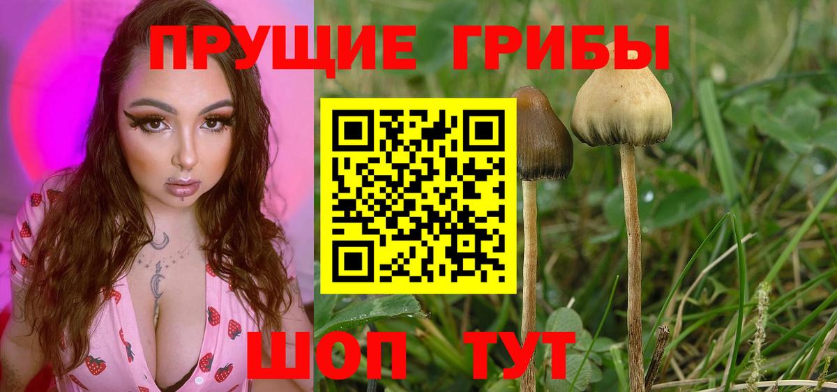 Лыткарино  Псилоцибиновые грибы ЛСД  Вход с VPN 