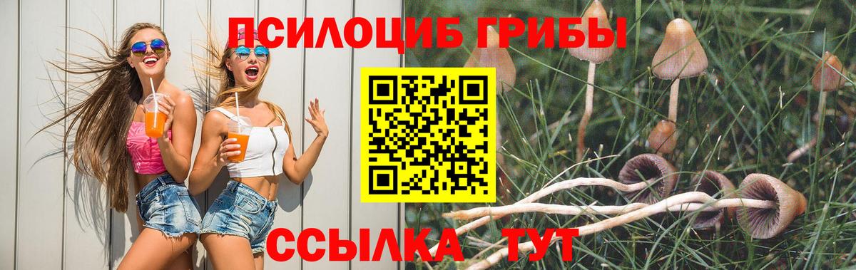 Галлюциногенные грибы ЛСД Лыткарино